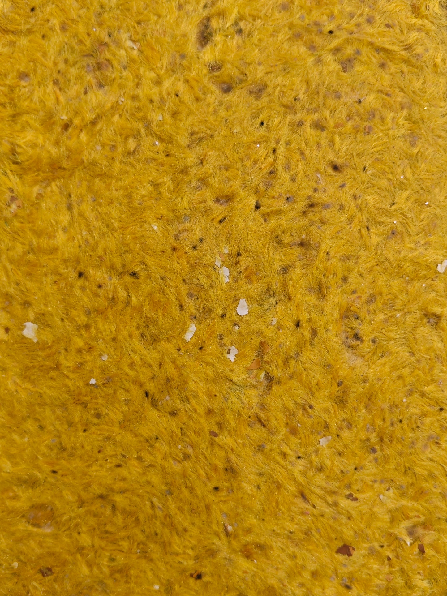 MPL 54