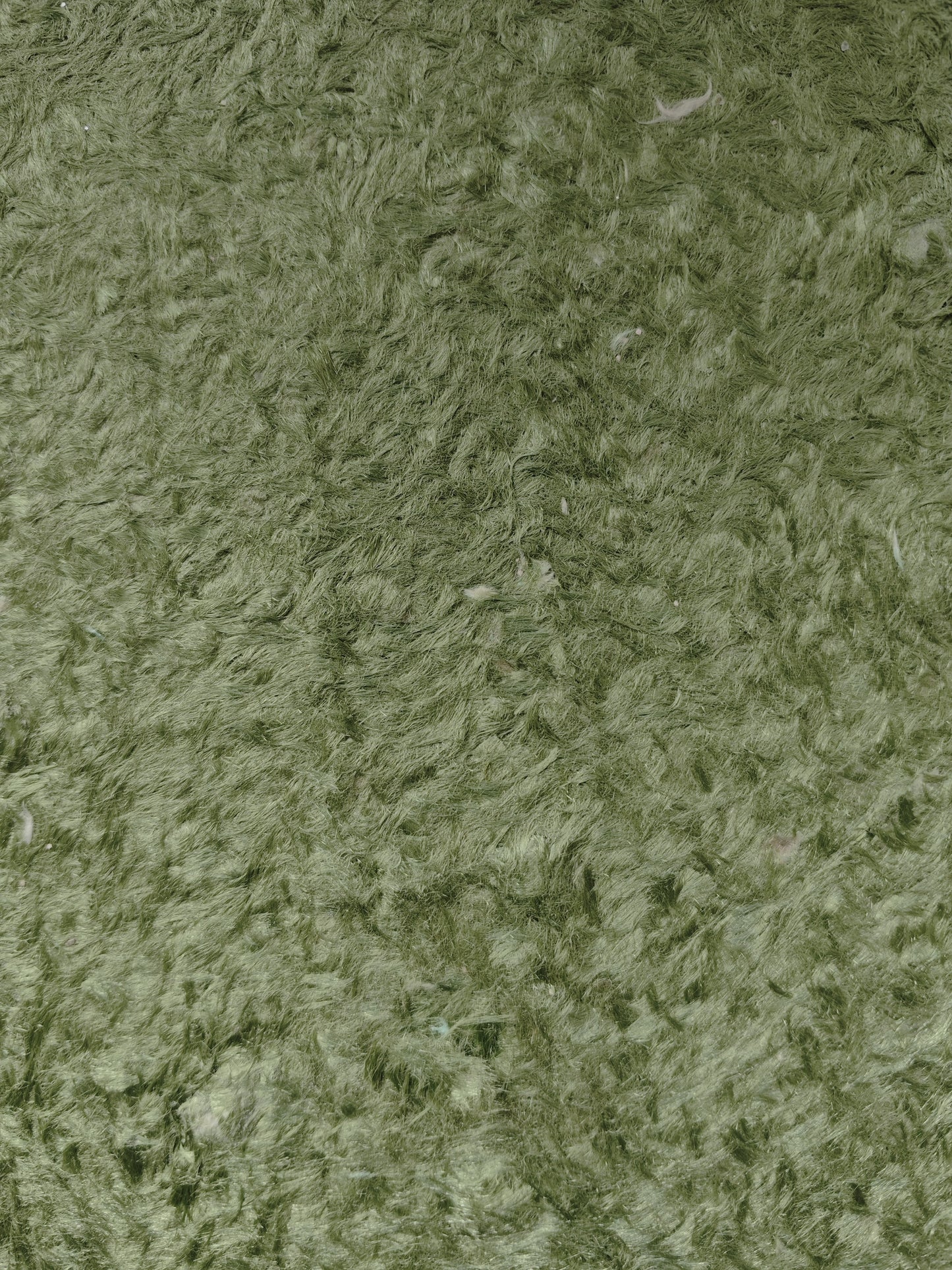 MPL 33
