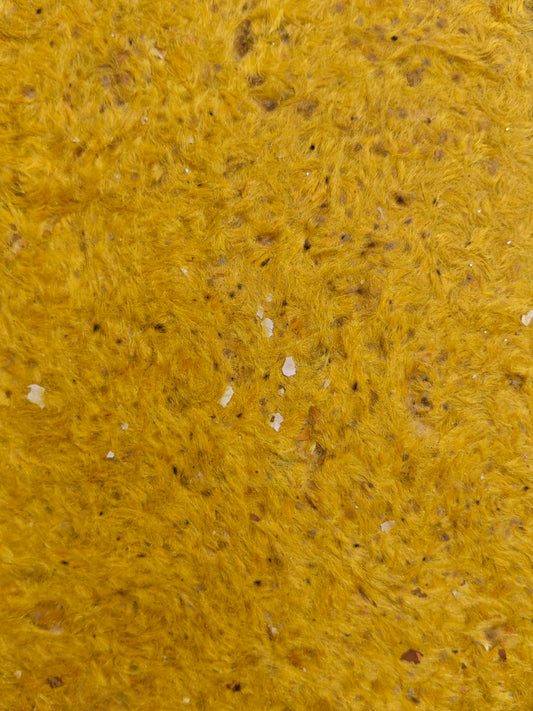 MPL 54